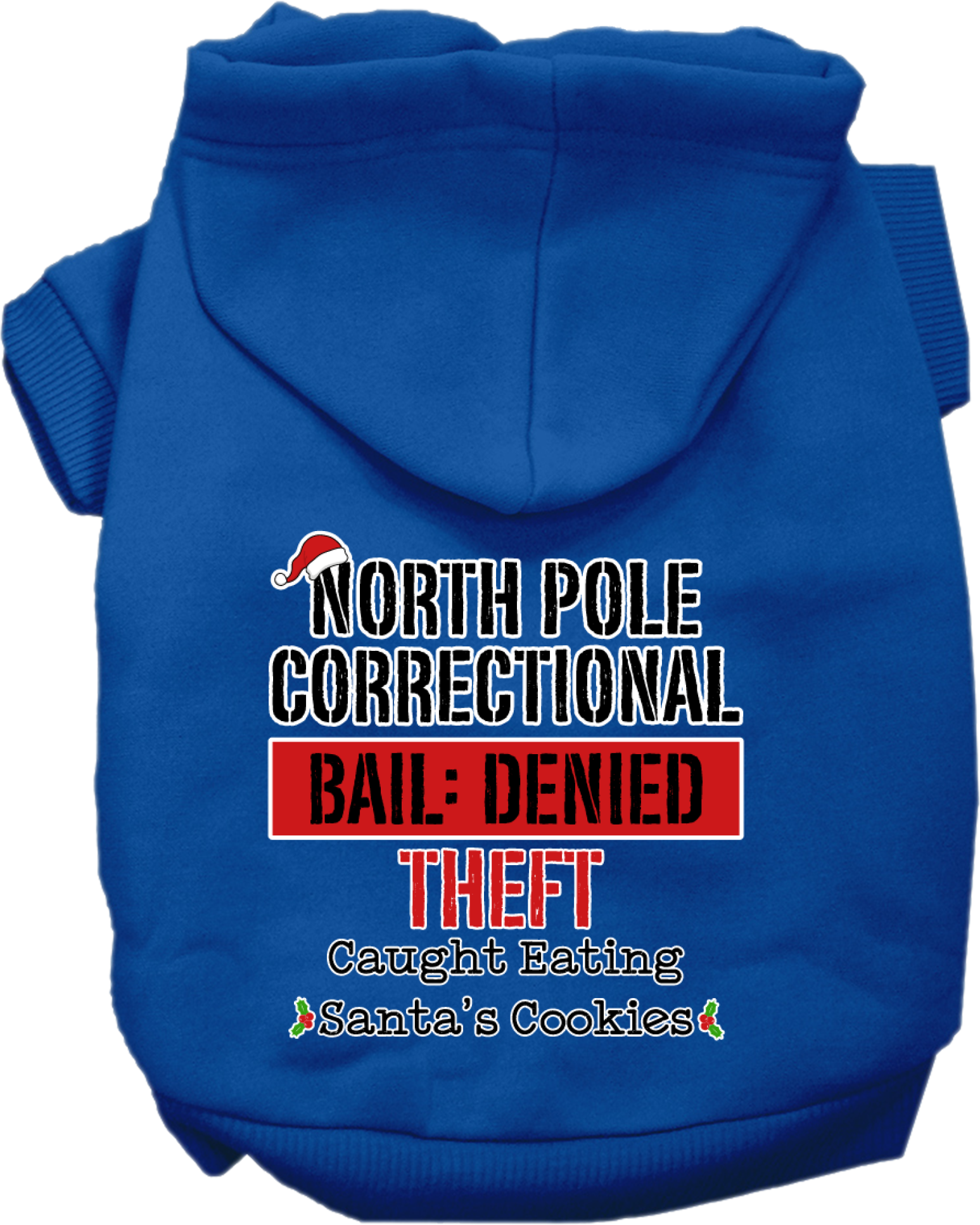 North Pole Correctional Screen Print Dog Hoodie Blue Size XS